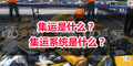 集運(yùn)是什么？ 集運(yùn)系統(tǒng)是什么？