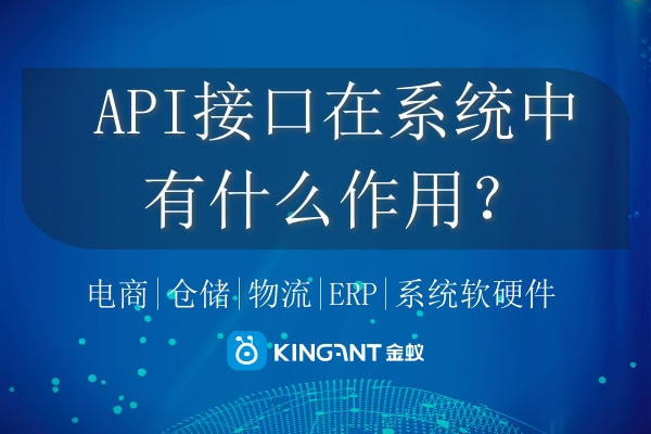 API接口在系統(tǒng)中有什么作用？