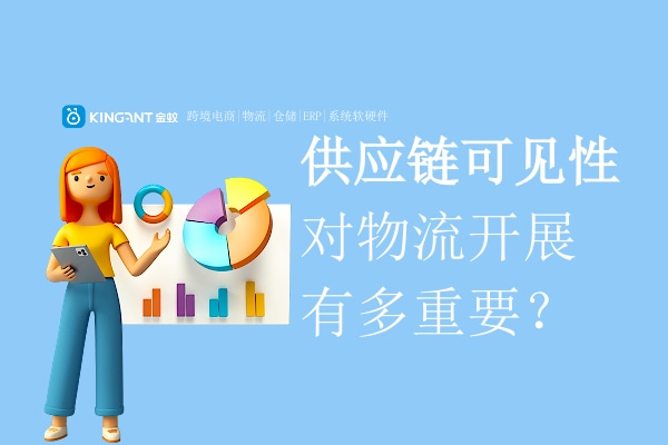 國(guó)際物流系統(tǒng)|集運(yùn)系統(tǒng)：供應(yīng)鏈可見(jiàn)性對(duì)物流開(kāi)展有多重要？